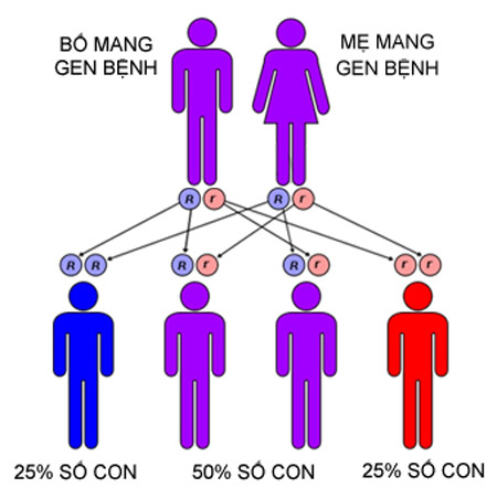 Di truyền Là Gì? Phương thức của di truyền là gì?