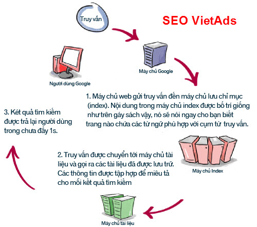 Dịch Vụ SEO