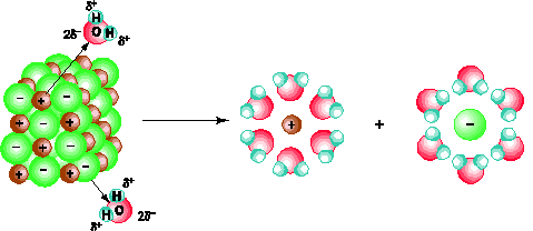 Điện Li Là Gì? Tìm Hiểu Về Điện Li Là Gì?