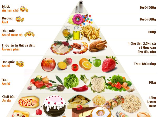 Dinh Dưỡng Là Gì? Tìm Hiểu Về Dinh Dưỡng Là Gì?