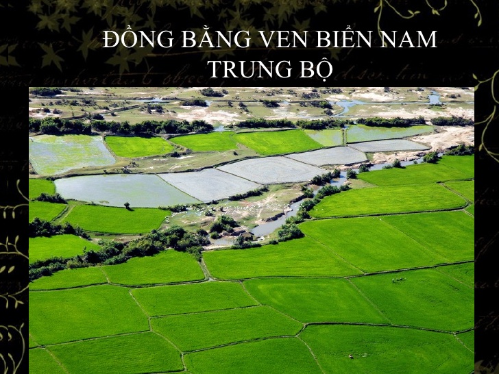Đồng bằng là gì? Đặc trưng của đồng bằng như thế nào?
