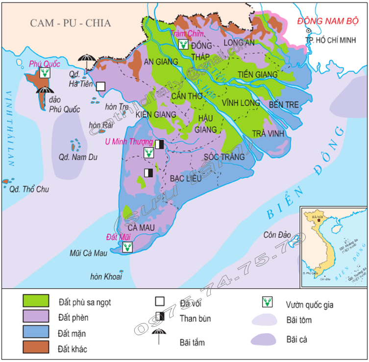 Đồng bằng là gì? Đặc trưng của đồng bằng như thế nào?