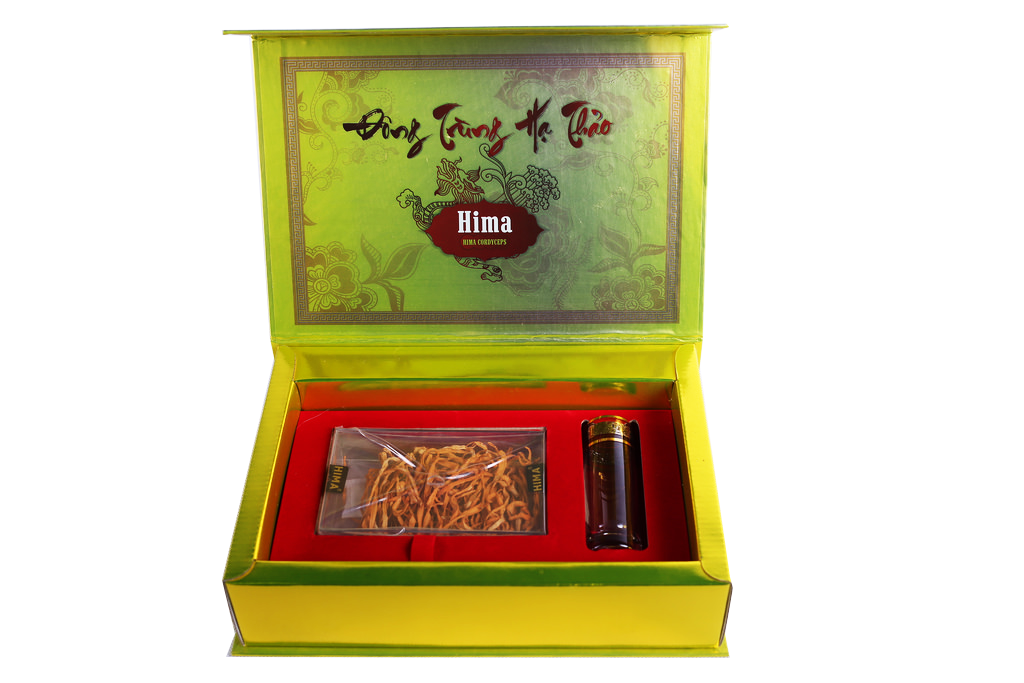 Đông Trùng Hạ Thảo Là Gì? Tìm Hiểu Về Đông Trùng Hạ Thảo Là Gì?