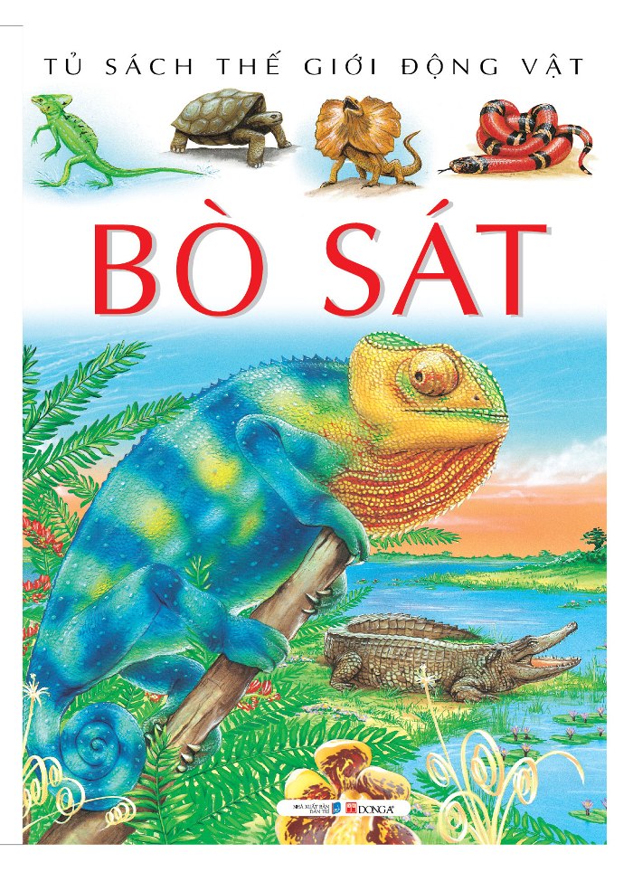 Động vật bò sát là gì? Tại sao lại gọi là động vật bò sát?