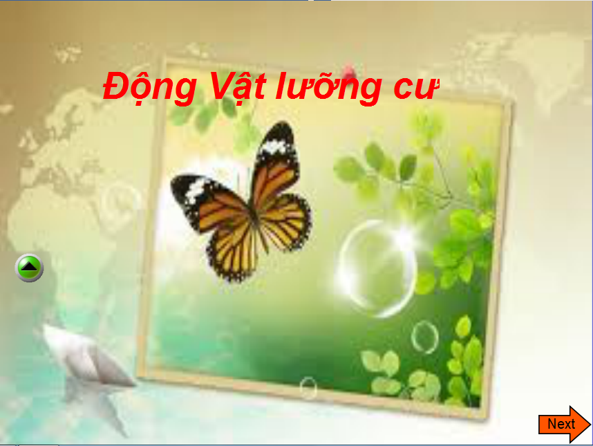 Động vật lưỡng cư là gì và thực hư loài tuyệt chủng sống lại?