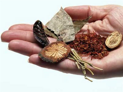 Đông Y Là Gì? Tìm Hiểu Về Đông Y Là Gì?