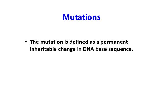 Đột Biến Gen Là Gì? Tìm Hiểu Về Đột Biến Gen Là Gì?