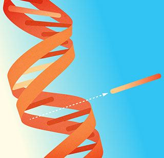 Đột biến là gì và nguyên nhân và phân loại các dạng đột biến?
