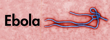 Ebola là bệnh gì và những biểu hiện của bệnh Ebola?