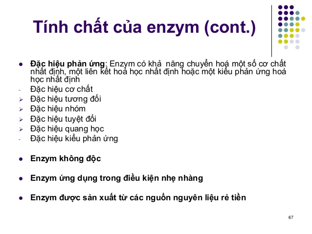 Enzym là gì và thành phần và tính chất của Enzym ra sao?