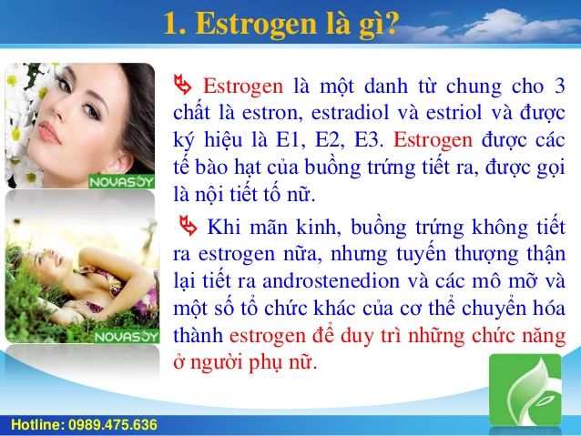 Estrogen Là Gì? Tìm Hiểu Về Estrogen Là Gì?