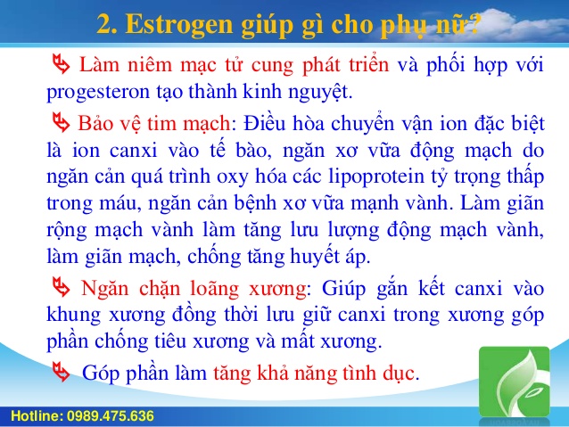 Estrogen Là Gì? Tìm Hiểu Về Estrogen Là Gì?