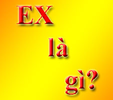 Ex Là Gì? Tìm Hiểu Về Ex Là Gì?