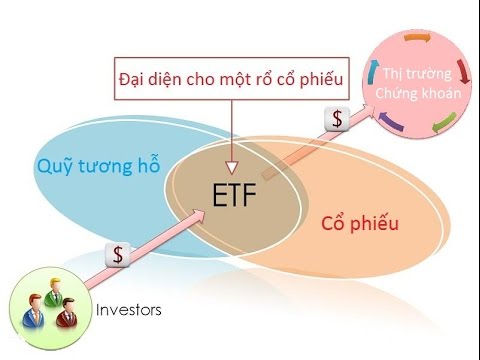 Exchange Traded Fund Là Gì? Tìm Hiểu Về Exchange Traded Fund Là Gì?