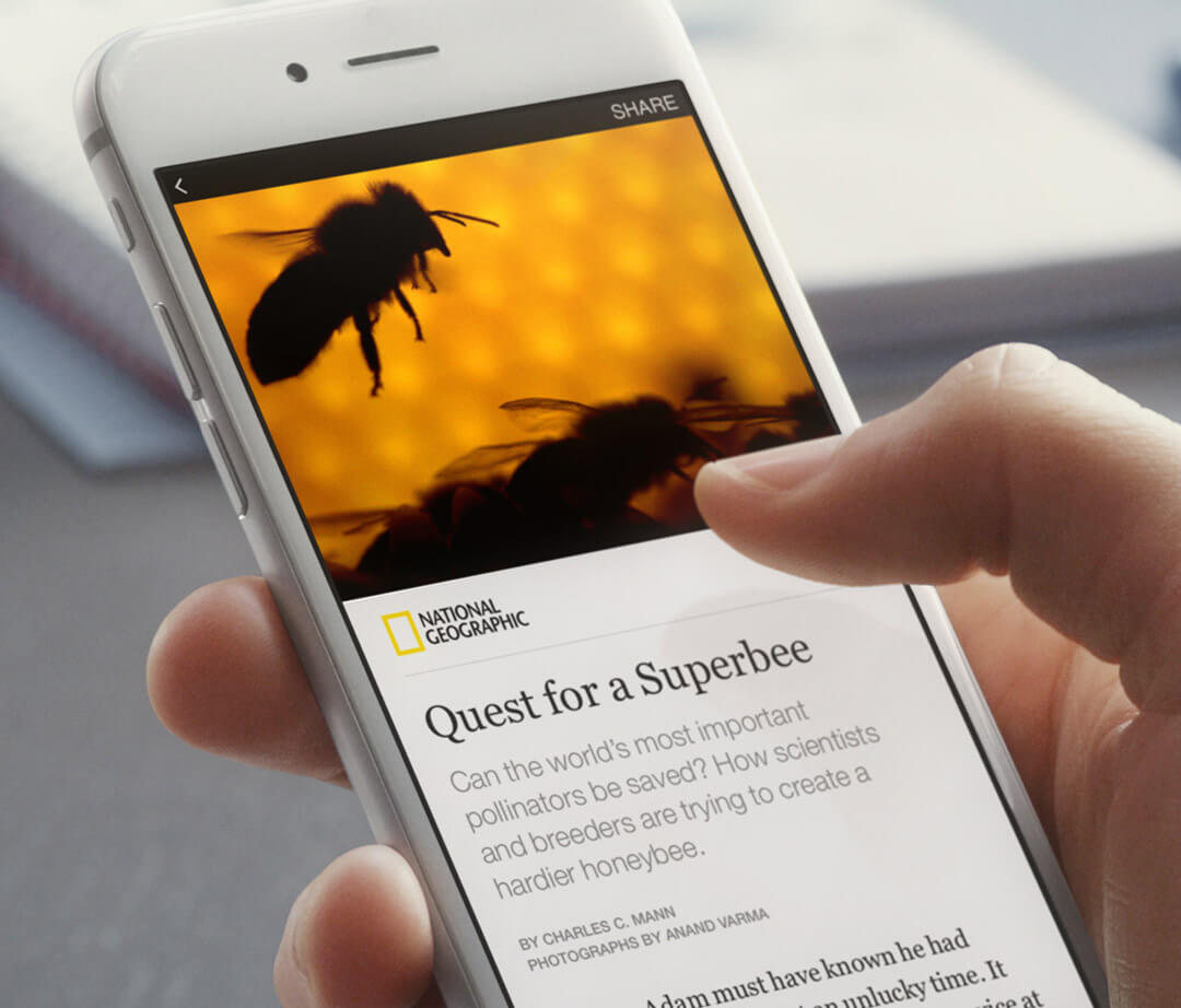 Tìm Hiểu Về Facebook Instant Articles Là Gì?