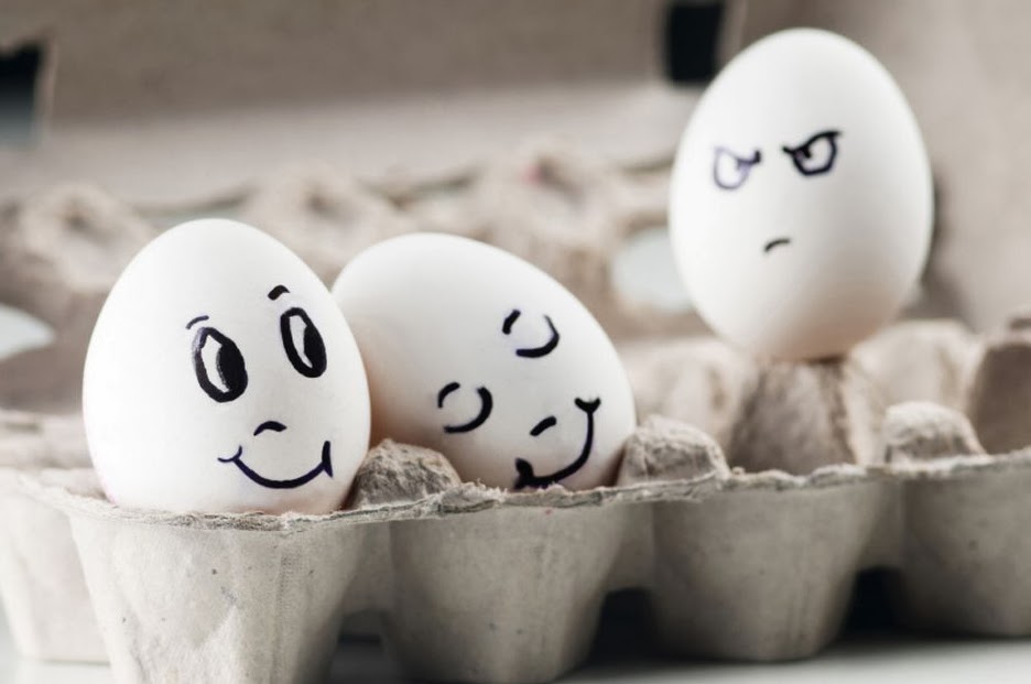 GATO là gì? GATO có phải là một loại bánh của Pháp