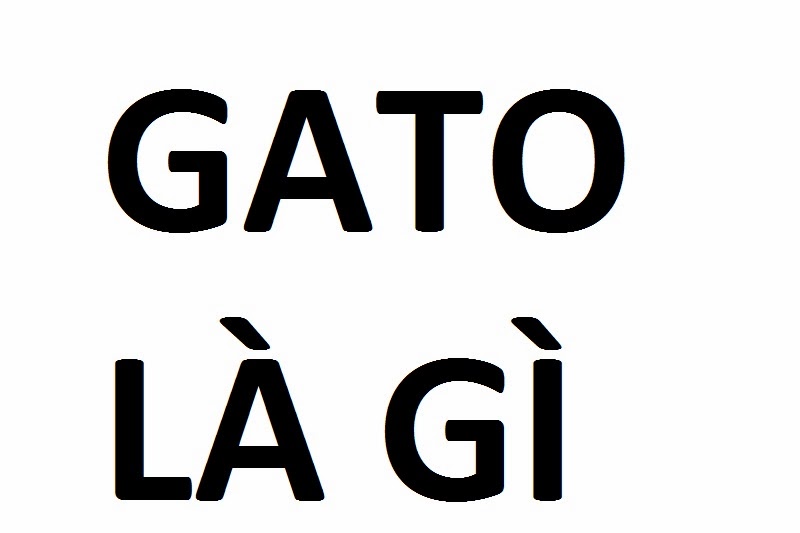 GATO là gì? GATO có phải là một loại bánh của Pháp
