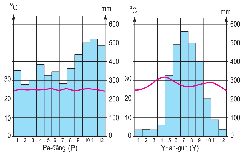 Giáng thủy là gì và các hạt mưa được tạo thành như thế nào?