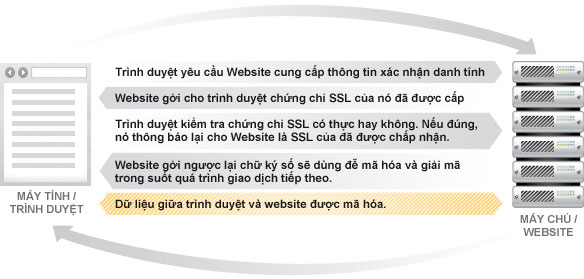 SSL là gì và tìm hiểu về giao thức bảo mật SSL cho web?