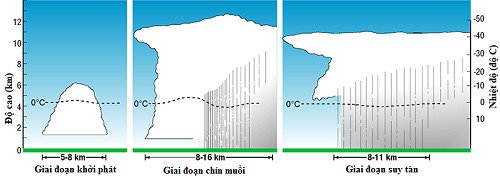 Giông Lốc Là Gì? Tìm Hiểu Về Giông Lốc Là Gì?