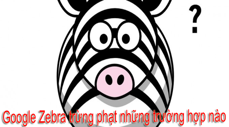 Google Zebra Là Gì? Thuật Toán SEO Google Zebra Là Gì?