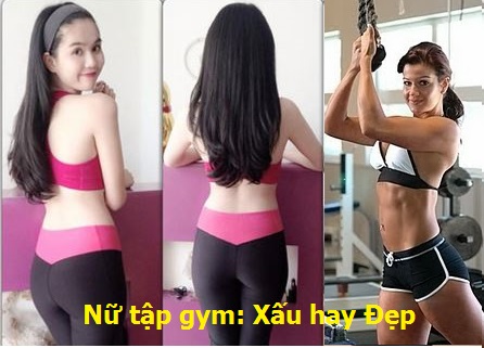 GYM Là Gì? Tìm Hiểu Về GYM Là Gì?