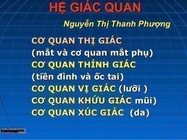 Hệ Giác Quan Là Gì? Tìm Hiểu Về Hệ Giác Quan Là Gì?