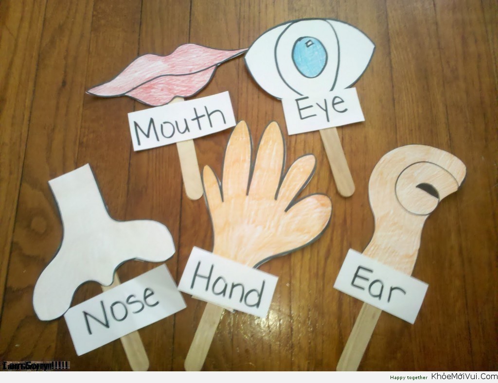 Hệ Giác Quan Là Gì? Tìm Hiểu Về Hệ Giác Quan Là Gì?