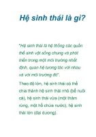 Hệ sinh thái là gì? Sự chuyển hoá vật chất hệ sinh thái?
