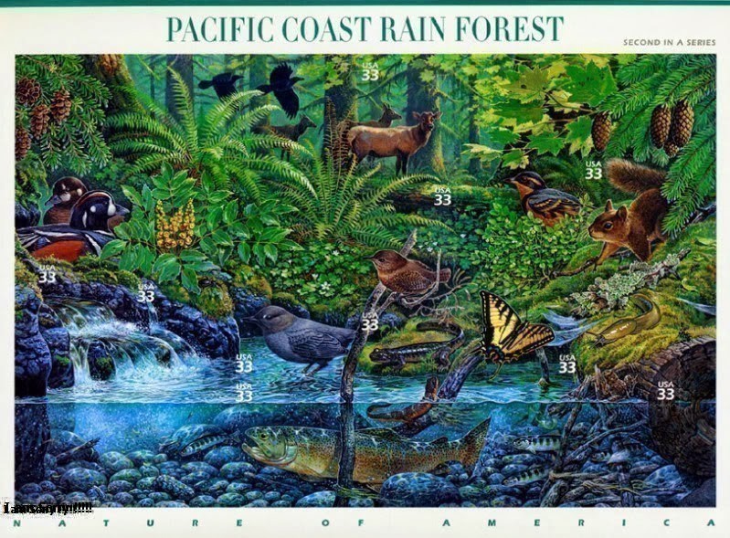 Hệ sinh thái là gì? Sự chuyển hoá vật chất hệ sinh thái?