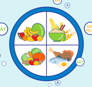 Hệ Tiêu Hóa Là Gì? Tìm Hiểu Về Hệ Tiêu Hóa Là Gì?