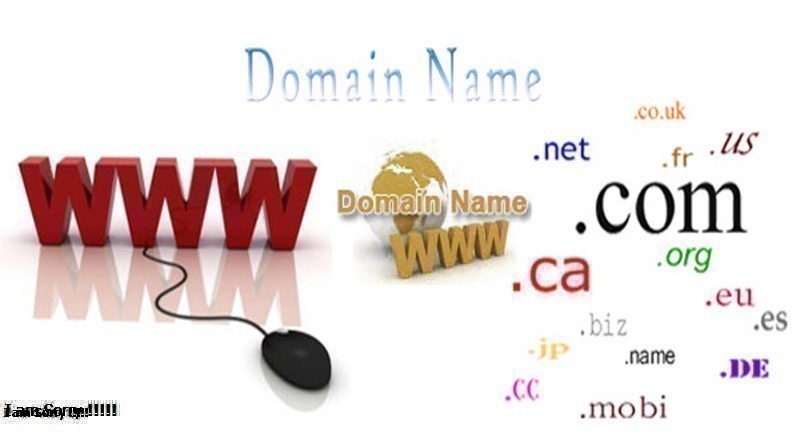 Transfer Tên Miền Là Gì? Tìm Hiểu Về Transfer Tên Miền Là Gì?