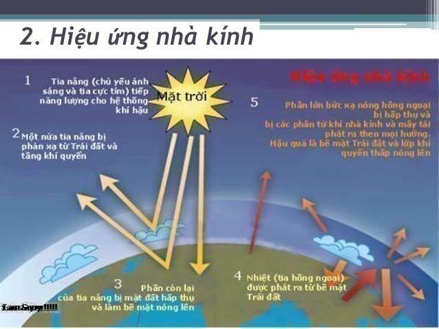 Hiệu Ứng Nhà Kính Là Gì? Tìm Hiểu Về Hiệu Ứng Nhà Kính Là Gì?