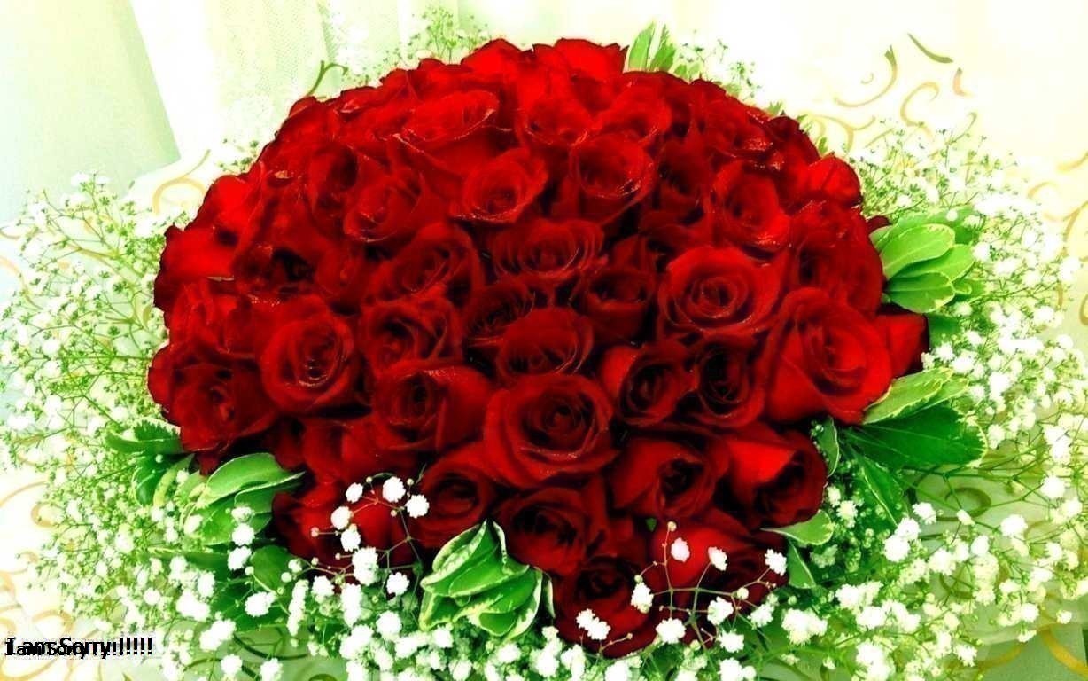 Hoa hồng là gì? Nguồn gốc của hoa hồng bắt đầu từ đâu?