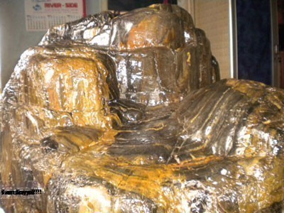 Hóa Thạch Là Gì? Tìm Hiểu Về Hóa Thạch Là Gì?