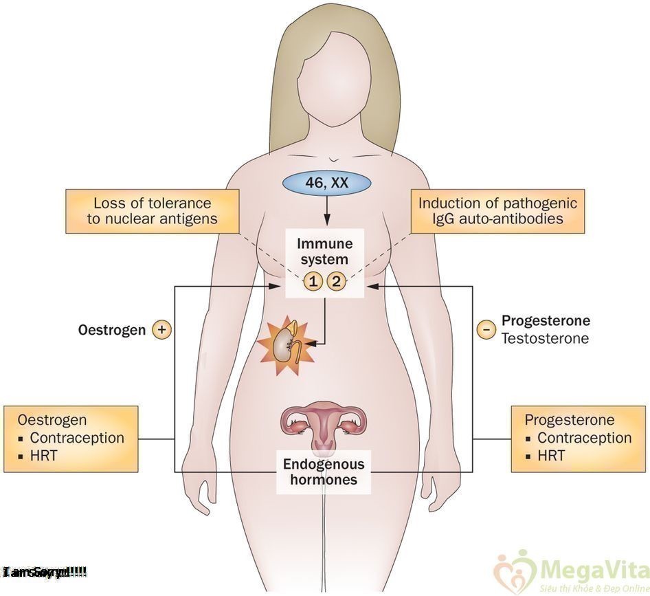 Hormone Là Gì? Tìm Hiểu Về Hormone Là Gì?