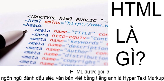 HTML Là Gì? Tìm Hiểu Về HTML Là Gì?