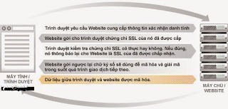 HTTPS Hay SSL Là Gì? Tìm Hiểu Về HTTPS Hay SSL Là Gì?