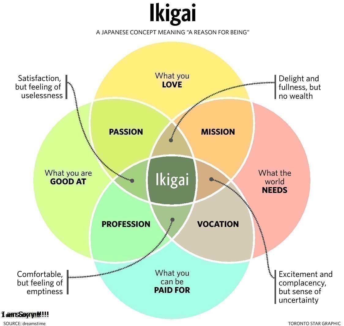 Lkigai là gì và cách để tìm kiếm niềm vui trong cuộc sống?