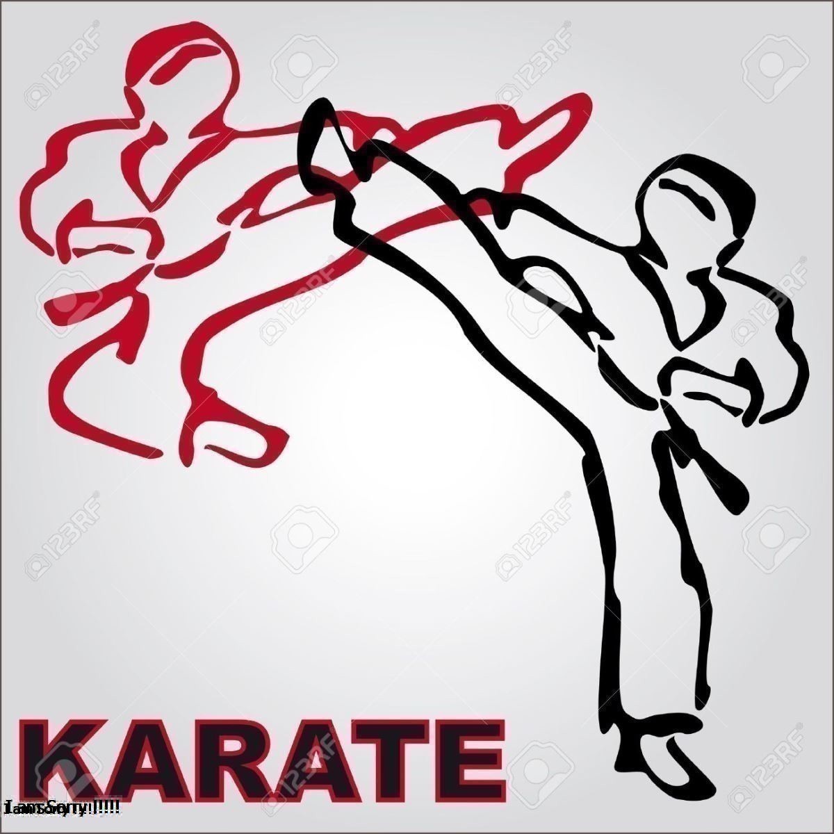 Karate Là Gì? Tìm Hiểu Về Karate Là Gì?
