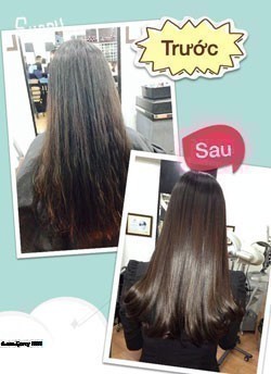 Karatin Là Gì? Tìm Hiểu Về Karatin Là Gì?