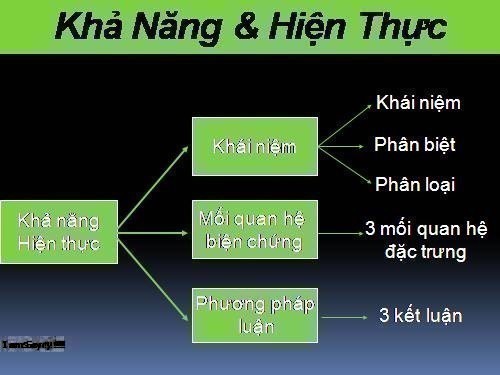 Khả năng và hiện thực là gì và mối quan hệ giữa chúng?