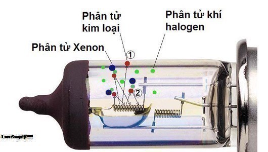 Khí Halogen là gì? Tính chất hoá học khí Halogen là gì?
