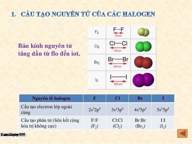 Khí Halogen là gì? Tính chất hoá học khí Halogen là gì?