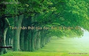 Khiêm Tốn Là Gì? Tìm Hiểu Về Khiêm Tốn Là Gì?