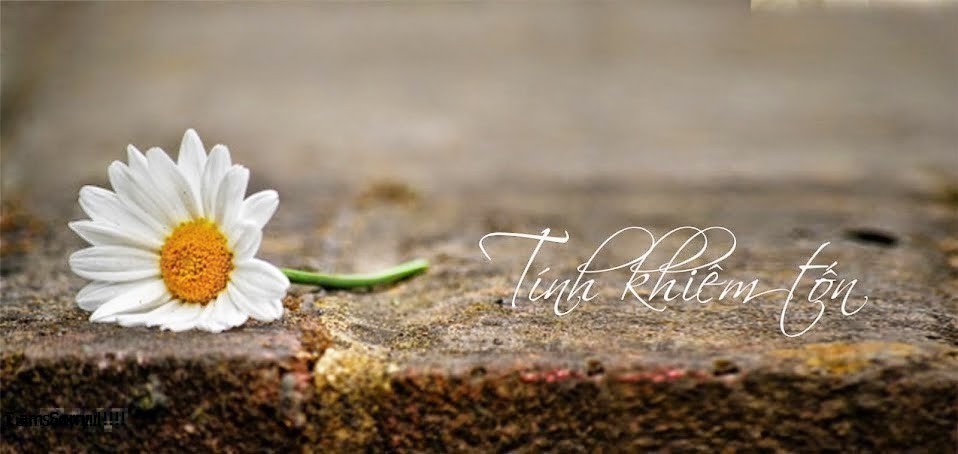 Khiêm Tốn Là Gì? Tìm Hiểu Về Khiêm Tốn Là Gì?