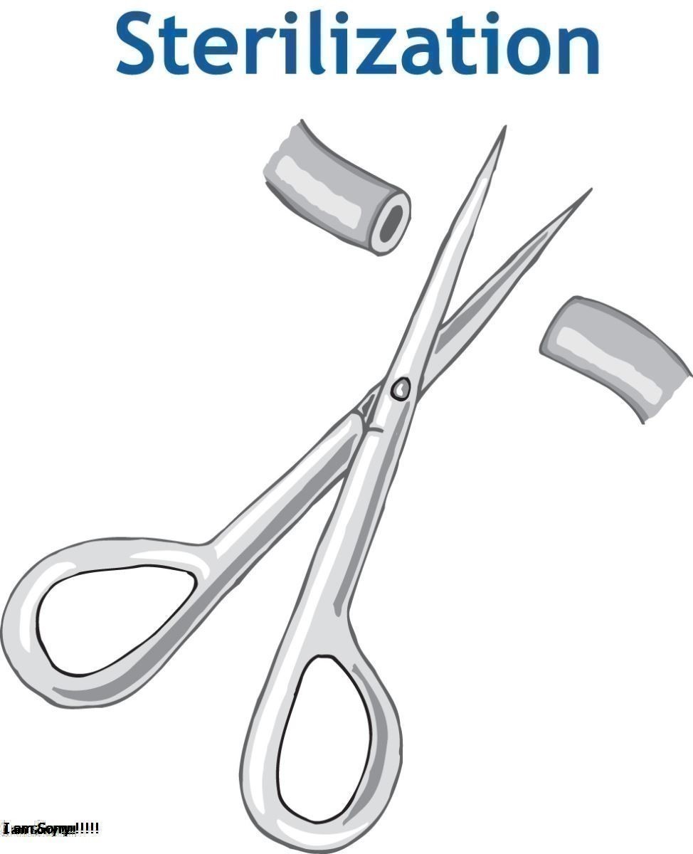 Khử Trùng Là Gì? Tìm Hiểu Về Khử Trùng Là Gì?