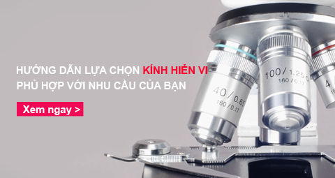 Kính hiển vi là gì và các loại kính hiển vi phổ biến?