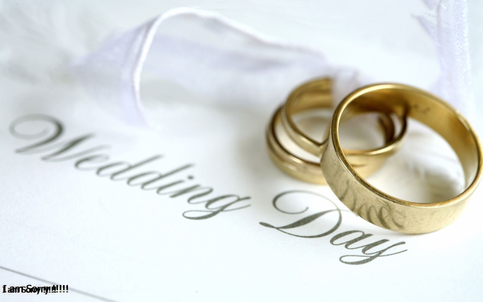 Lễ Cưới Là Gì? Tìm Hiểu Về Lễ Cưới Là Gì?