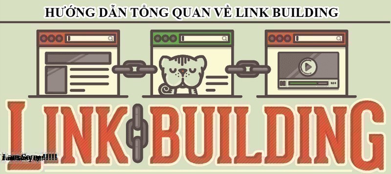Link Building Là Gì? Tìm Hiểu Link Building Là Gì?